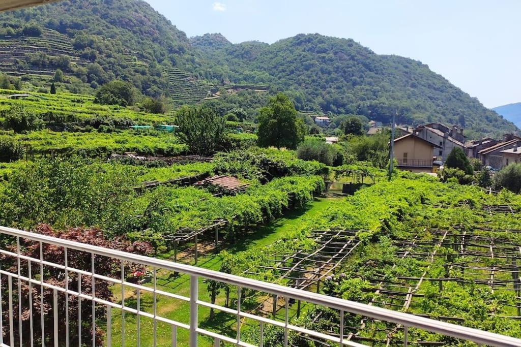 Carema La Casa Dei Nonni 3,0 아파트 외부 사진