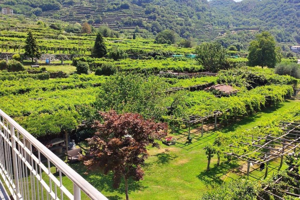 Carema La Casa Dei Nonni 3,0 아파트 외부 사진